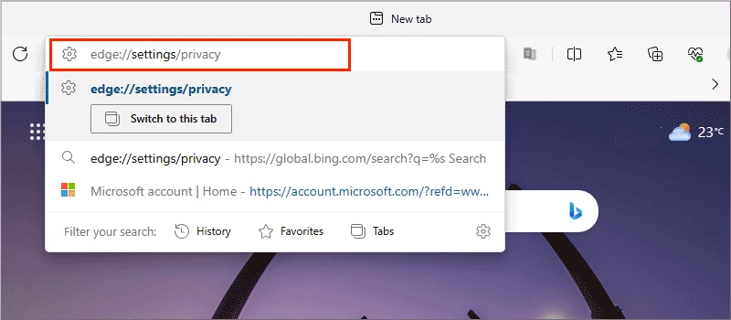 enter edge browser data settings