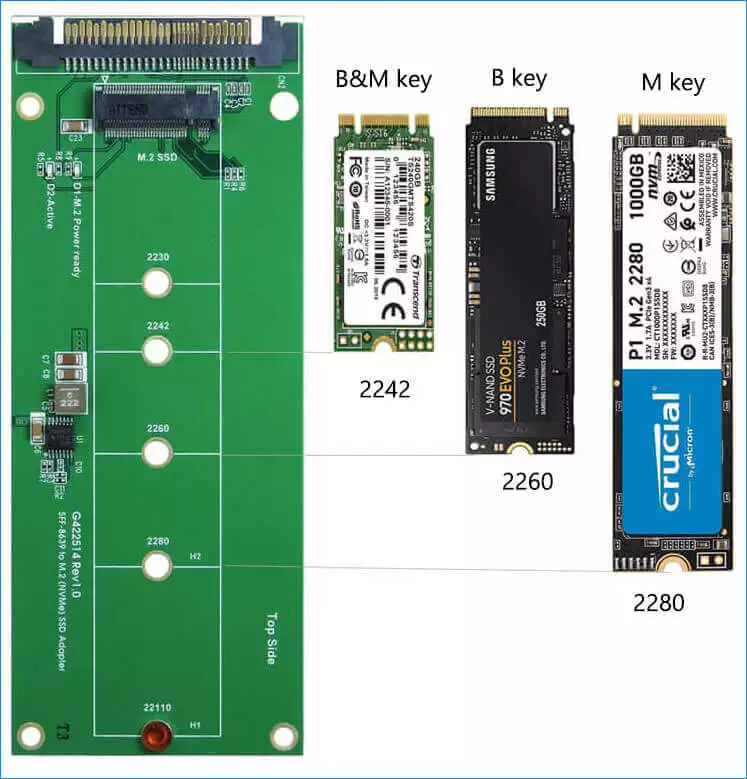 interface type and length of m2