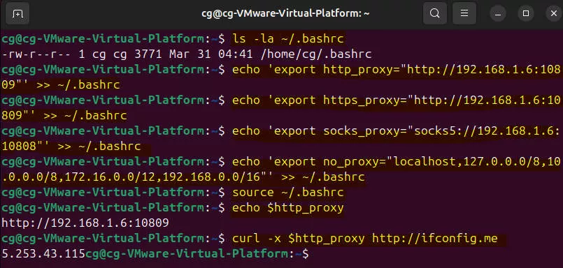 proxy for all terminal session