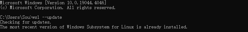 WSL update