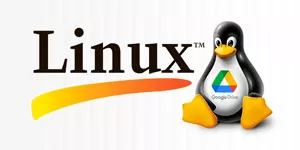 How to Mount Google Drive on Linux Step by Step