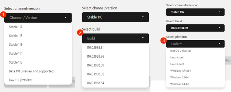 select version build platform