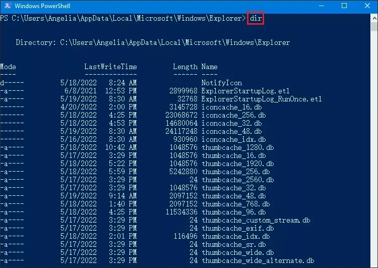 type dir command