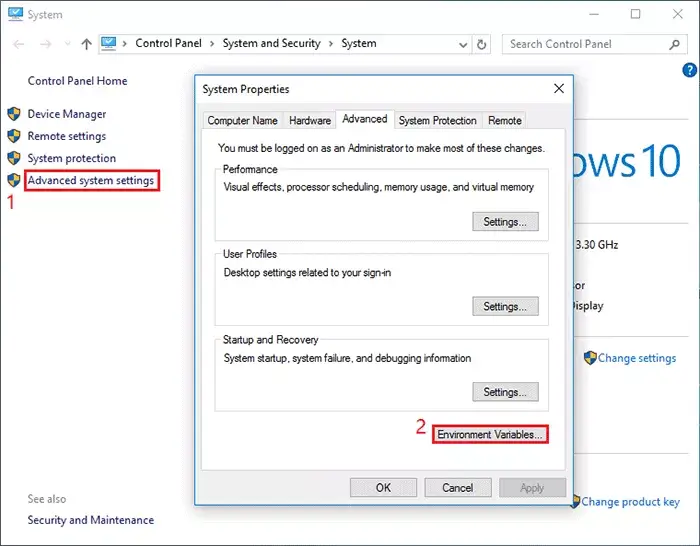 environment variables setting
