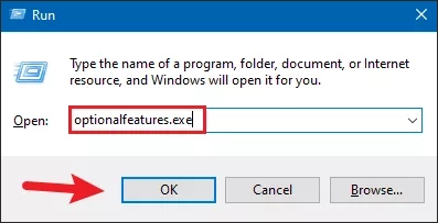 type optional feature