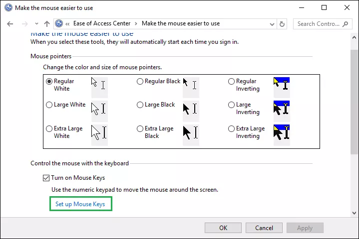 click set up mouse keys option