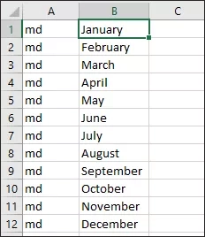 excel month