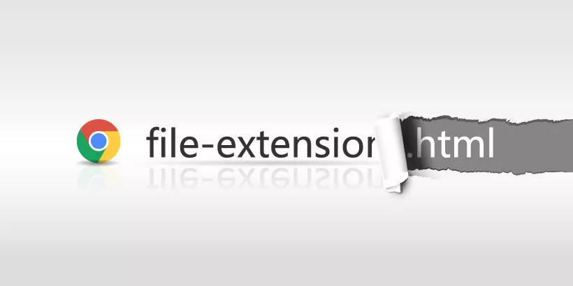 How to Enable Options to See File Extensions in Windows 11/10?