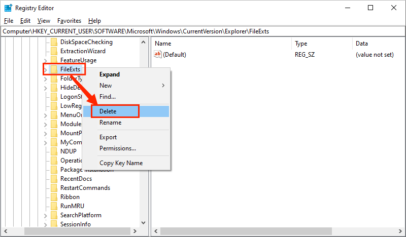 delete fileexts key
