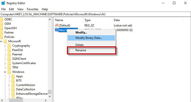 rename the new file