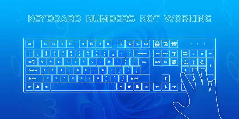 Solve: Keyboard Numbers not Working in Windows 10 & 11