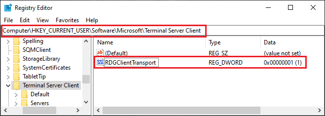 add RDGClientTransport key
